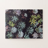 小型多汁性植物の類別 ジグソーパズル (横)