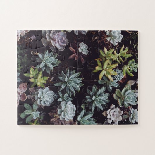小型多汁性植物の類別 ジグソーパズル (横)