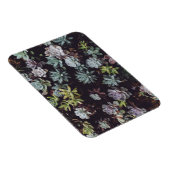 小型多汁性植物の類別 マグネット (右側)