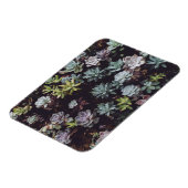 小型多汁性植物の類別 マグネット (左側)