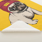 小型子犬のヒップスターのパグ シェルパブランケット (3/4)