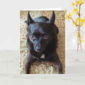 小型犬標準、5" x 7"折り畳みグリーティングカード カード (黄色い花)