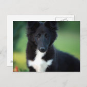 小型衝突 ポストカード (正面/裏面)