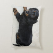 小型長髪のダックスフントの子犬 アクセントクッション (裏面(縦))