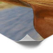 小型馬の飼育 ポスター (角)