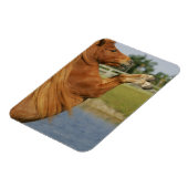 小型馬の飼育 マグネット (左側)