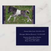 小型馬 名刺 (正面/裏面)