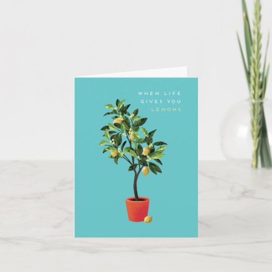 小型、4インチx 5.6インチ折り畳みグリーティングカード カード (正面)