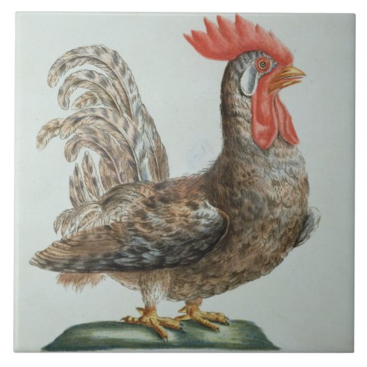 小型Cockerel、c.1767-76 (手によって着色される版木、銅版、版画 タイル (正面)