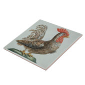小型Cockerel、c.1767-76 (手によって着色される版木、銅版、版画 タイル (側面)