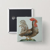小型Cockerel、c.1767-76 (手によって着色される版木、銅版、版画 缶バッジ (正面&裏面)