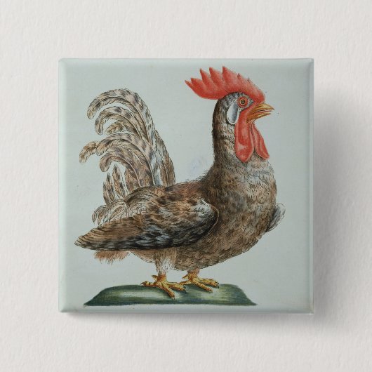 小型Cockerel、c.1767-76 (手によって着色される版木、銅版、版画 缶バッジ (正面)