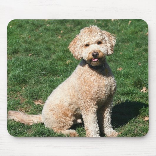 小型Goldendoodleの子犬のmousepad マウスパッド (正面)