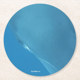 小型Minke目 ラウンドペーパーコースター