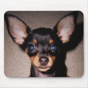 小型pinscher. マウスパッド