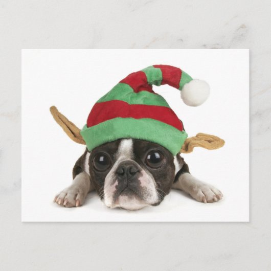 小妖精や小人おもしろいはがき シーズンポストカード (正面)