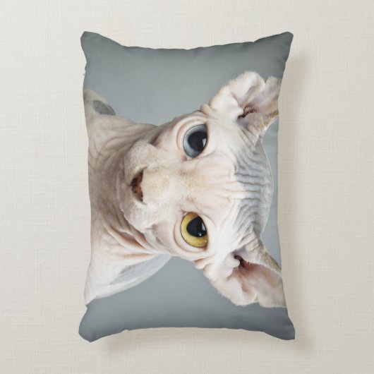 小妖精や小人のスフィンクス猫の写真のイメージ アクセントクッション (正面(垂直))