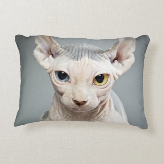 小妖精や小人のスフィンクス猫の写真のイメージ アクセントクッション (裏面)
