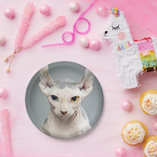 小妖精や小人のスフィンクス猫の写真のイメージ ペーパープレート (パーティー)