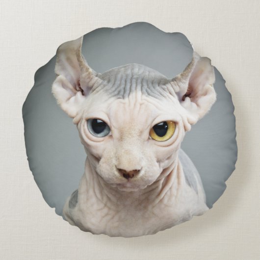 小妖精や小人のスフィンクス猫の写真のイメージ ラウンドクッション (裏面)