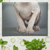 小妖精や小人のスフィンクス猫の写真 キッチンタオル (折り畳み)