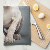 小妖精や小人のスフィンクス猫の写真 キッチンタオル (四つ折り)