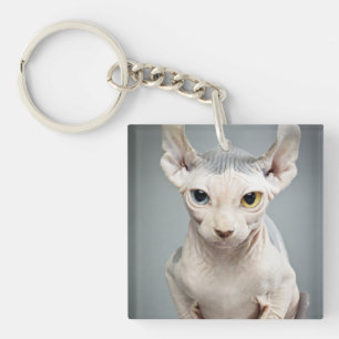小妖精や小人のスフィンクス猫の写真 キーホルダー