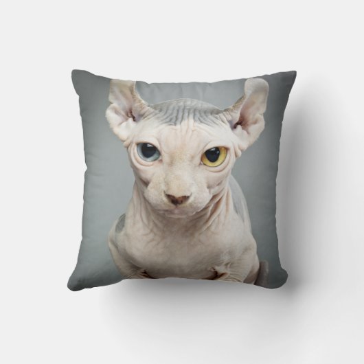 小妖精や小人のスフィンクス猫の写真 クッション (裏面)