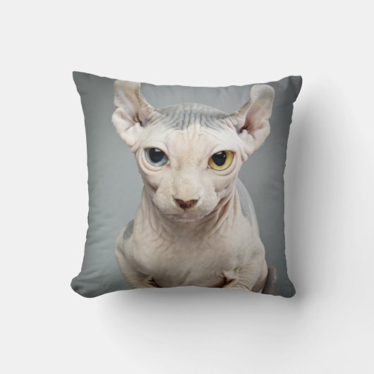 小妖精や小人のスフィンクス猫の写真 クッション (正面)