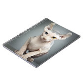 小妖精や小人のスフィンクス猫の写真 ノートブック (左側)