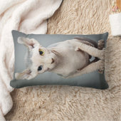 小妖精や小人のスフィンクス猫の写真 ランバークッション (ブランケット)