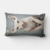 小妖精や小人のスフィンクス猫の写真 ランバークッション (裏面)