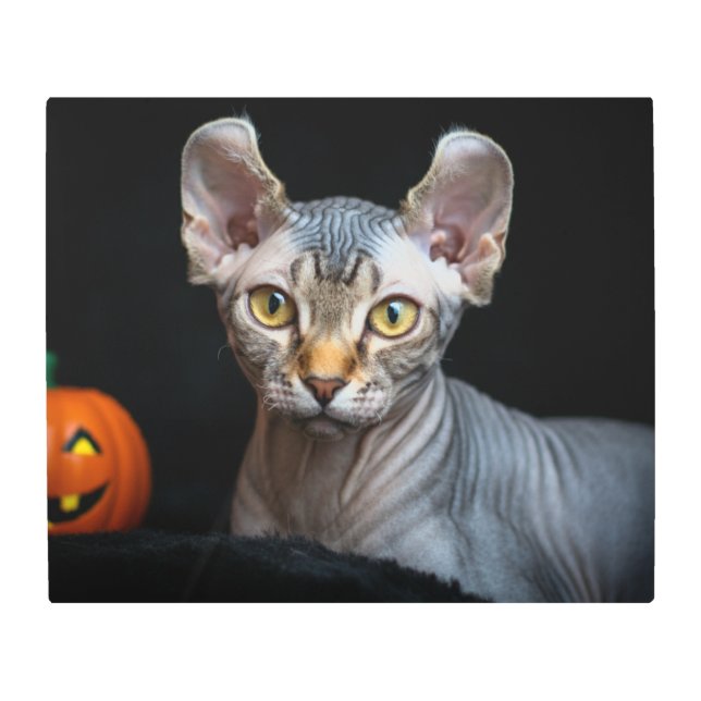 小妖精や小人カスタムSphynx猫アートポートレート メタルプリント (正面)