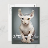 小妖精や小人スフィンクス猫の写真イメージ愛する ポストカード (正面/裏面)