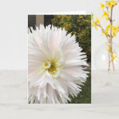 小妖精や小人ダリア カード (黄色い花)