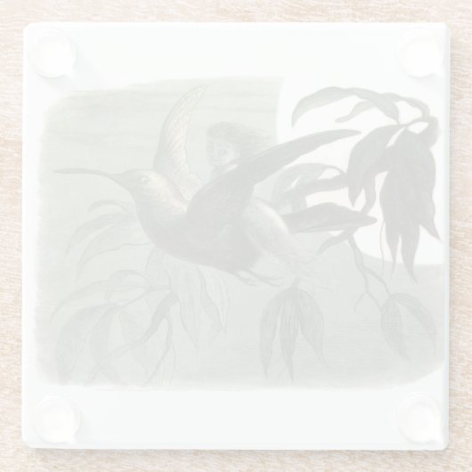 小妖精や小人妖精小人ムーンナイトシーン飛んでいるバード ガラスコースター (裏面)