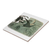 小妖精や小人妖精小人ムーンナイトシーン飛んでいるバード タイル (側面)