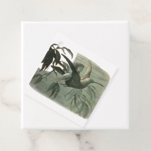 小妖精や小人妖精小人ムーンナイトシーン飛んでいるバード フェイバータグ (インサイチュ)