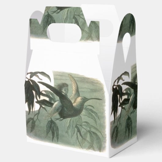 小妖精や小人妖精小人ムーンナイトシーン飛んでいるバード フェイバーボックス (オープン)