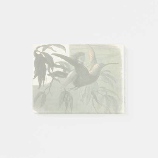 小妖精や小人妖精小人ムーンナイトシーン飛んでいるバード ポストイット (正面)