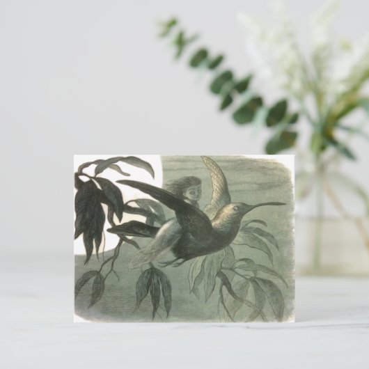 小妖精や小人妖精小人ムーンナイトシーン飛んでいるバード ポストカード (スタンド正面)