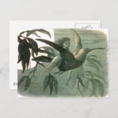 小妖精や小人妖精小人ムーンナイトシーン飛んでいるバード ポストカード (正面/裏面)