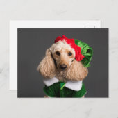 小妖精や小人服を着た犬 ポストカード (正面/裏面)