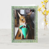 小妖精猫のセントパトリックの日の挨拶状 カード (黄色い花)