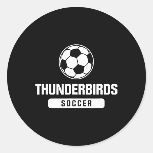 小学校、中学校、高校のサッカーチーム「サンダーバード」 ラウンドシール (正面)