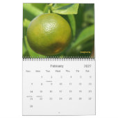 小宇宙 カレンダー (2月 2027)