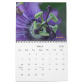 小宇宙 カレンダー (3月 2027)