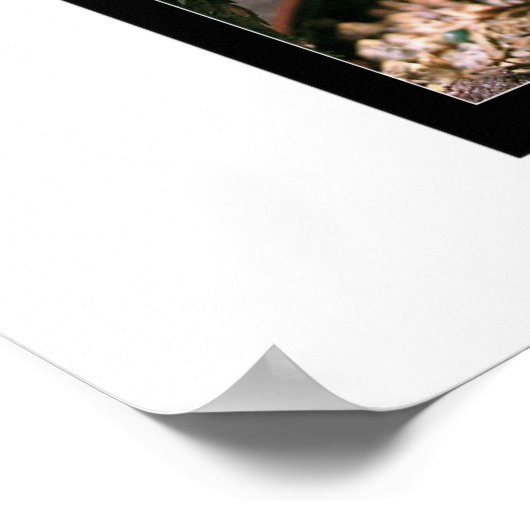 小宇宙 ポスター (角)