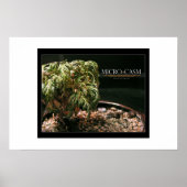 小宇宙 ポスター (正面)