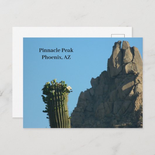 小尖塔の花のピークフェニックスAZのハイキングのサボテン シーズンポストカード (正面/裏面)